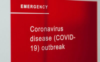 The Coronavirus Business Interruption Loan Scheme (CBILS)