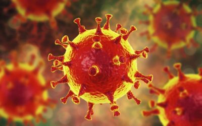 Whitley Stimpson coronavirus (COVID-19) business continuity plan