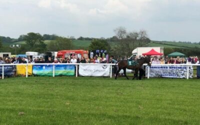 Whitley Stimpson sponsored the Grafton Point to Point for the third year running
