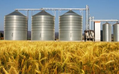 Capital allowances and purpose-built structures