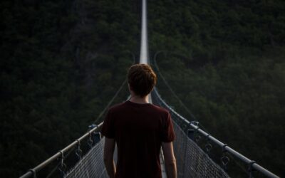 What you need to do when you set up a limited company