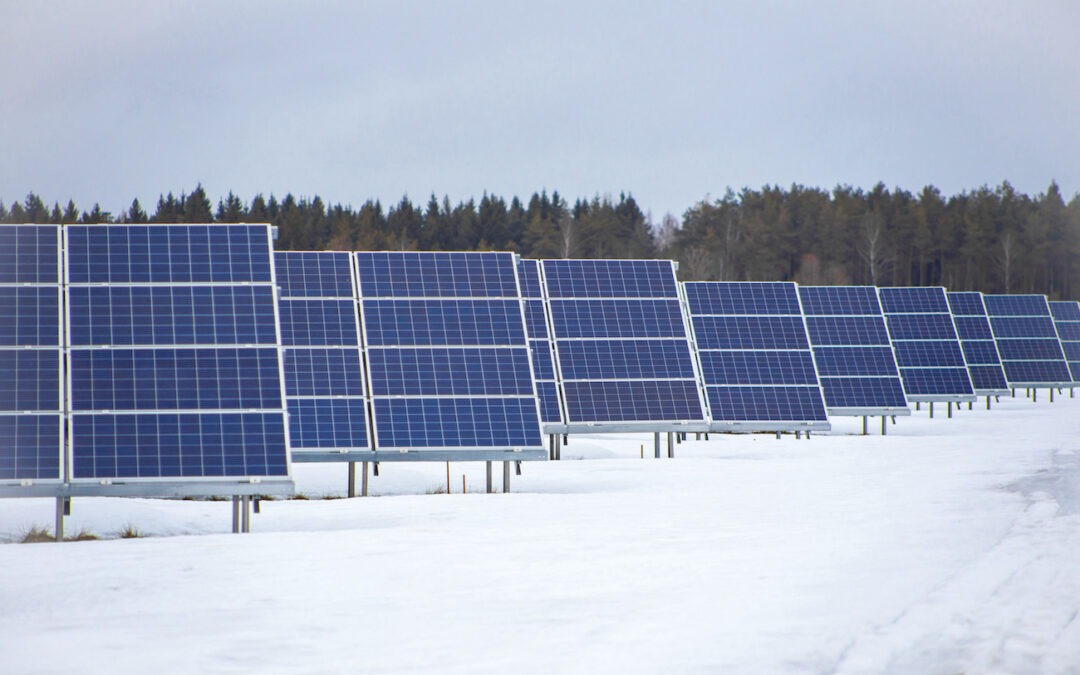 Solar farms – a bright idea for farmers?