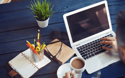 Which is better: limited company or sole trader?