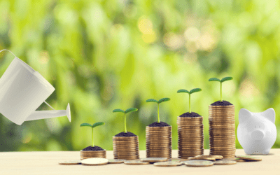 Tax incentives in investment zones