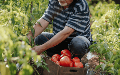 The Outlook for British Agriculture – Addressing the Issues