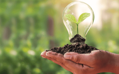 Seed enterprise investment scheme boosted