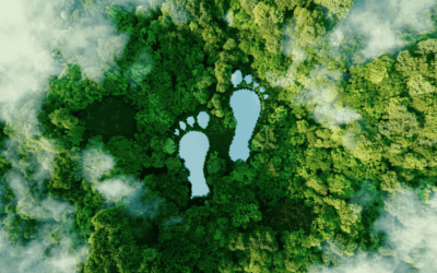 Government consults over future of agricultural property relief