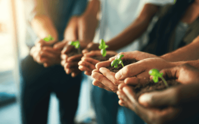 The Rural England Prosperity Fund (REPF) – A Guide