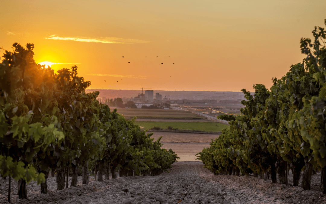 APR and Foreign Properties – Spring Budget Changes