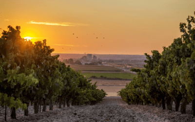 APR and Foreign Properties – Spring Budget Changes