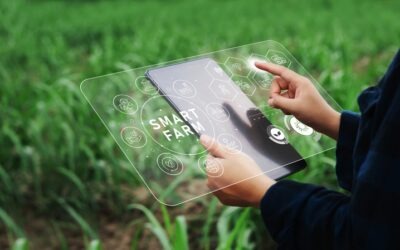 Innovative Funding Opportunity for Farm Businesses