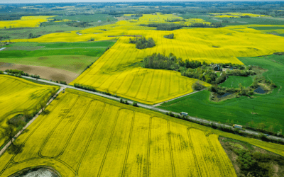 Strong views aired on proposal to extend farm tenancies