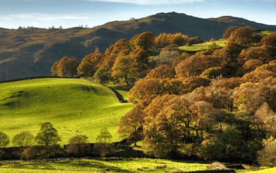 Green farmers hit by tax blow