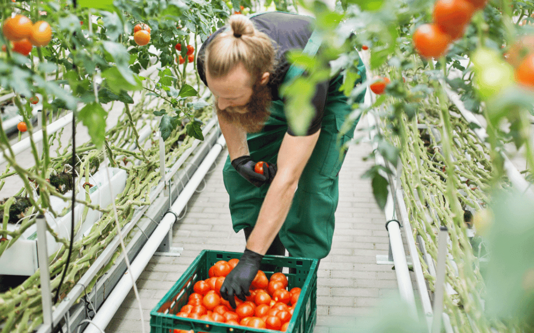 Labour exchange set to open up access to seasonal workers