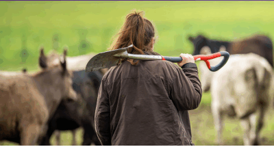 Farm diversification and tax – mind the pitfalls