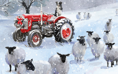 Merry Christmas from Whitley Stimpson