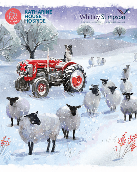 Merry Christmas from Whitley Stimpson